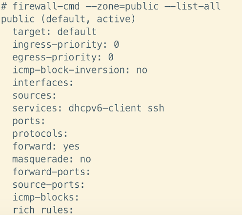 image-20250203194047421